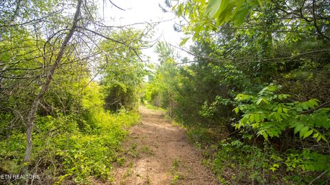 Tiny photo for 1445 River Rd, New Market, TN 37820 (MLS # 1340463)