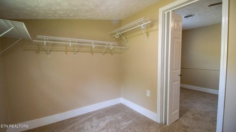 Tiny photo for 1445 River Rd, New Market, TN 37820 (MLS # 1340463)