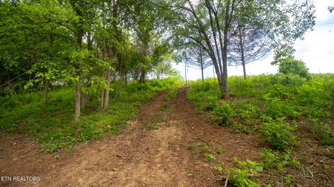 Tiny photo for 1445 River Rd, New Market, TN 37820 (MLS # 1340463)