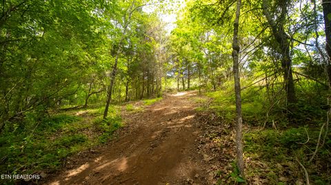 Tiny photo for 1445 River Rd, New Market, TN 37820 (MLS # 1340463)