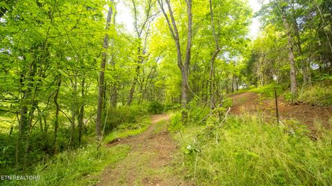 Tiny photo for 1445 River Rd, New Market, TN 37820 (MLS # 1340463)