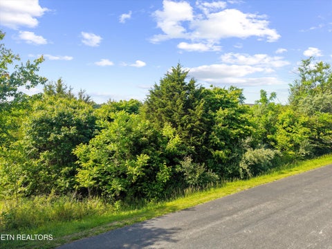 Tiny photo for 244 Unutsi Tr, Vonore, TN 37885 (MLS # 1355877)