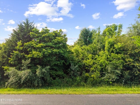 Tiny photo for 244 Unutsi Tr, Vonore, TN 37885 (MLS # 1355877)