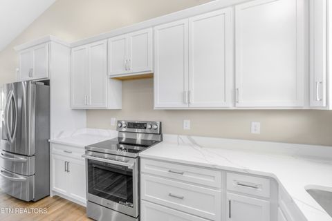 Tiny photo for 110 Shyane Lane, Sweetwater, TN 37874 (MLS # 1340886)