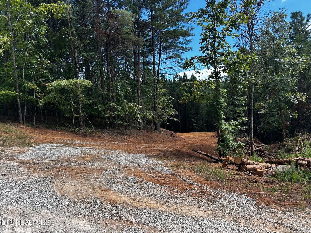 Photo of 292 Cody Lane, Madisonville, TN 37354 (MLS # 1309808)