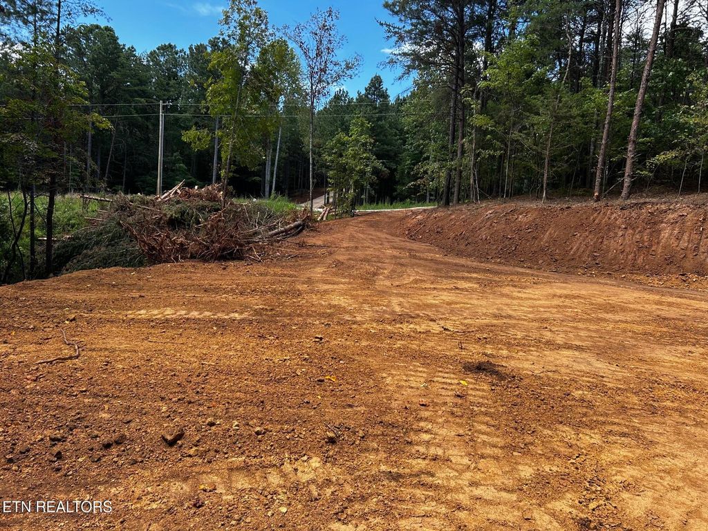 Photo of 292 Cody Lane, Madisonville, TN 37354 (MLS # 1309808)