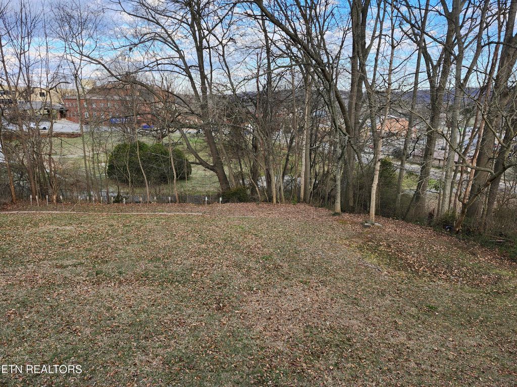 Photo of 203 S Price St, Sweetwater, TN 37874 (MLS # 1341316)