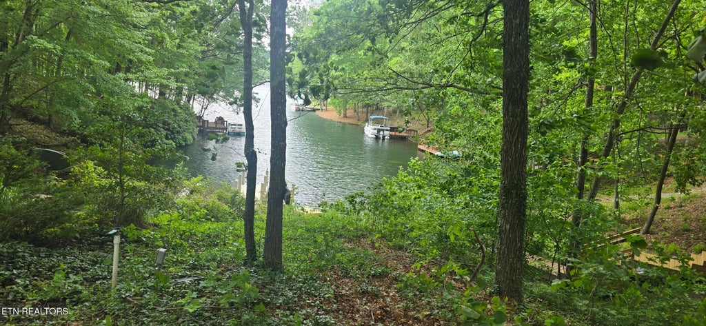 Photo of 157 Overlook Cove, Crossville, TN 38558 (MLS # 1352245)