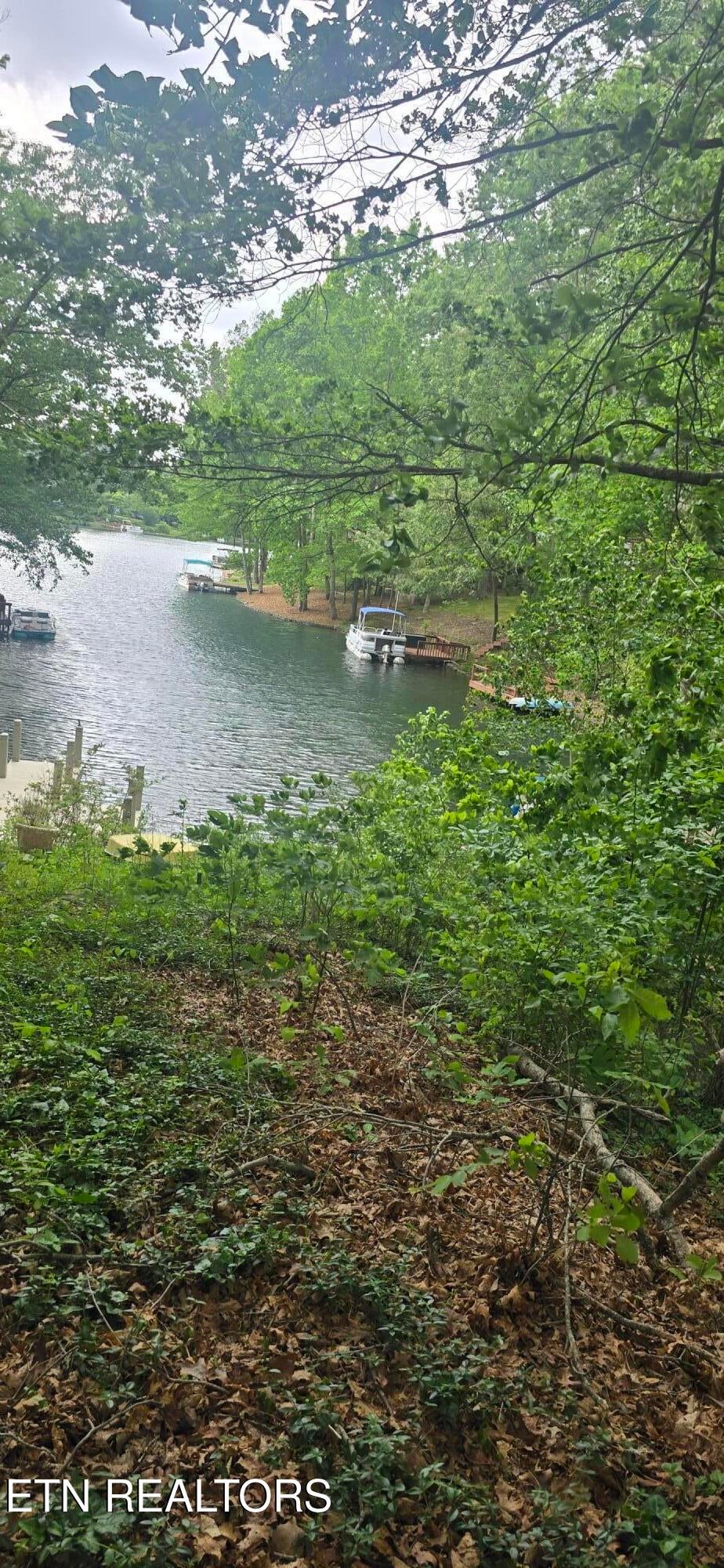 Photo of 157 Overlook Cove, Crossville, TN 38558 (MLS # 1352245)