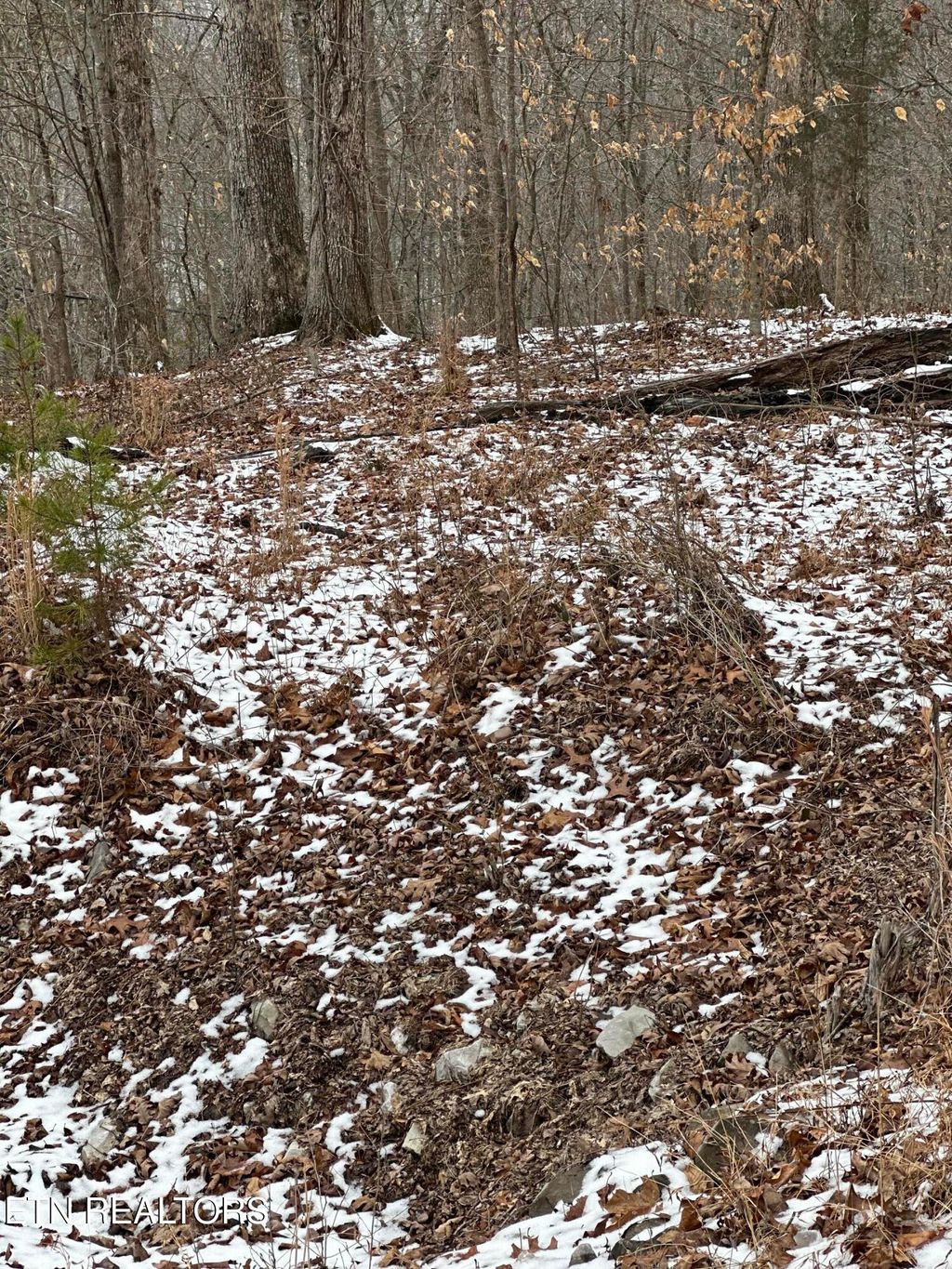 Photo of LOTS 12 &amp; 13 Sams Mountain RD., Middlesboro, KY 40965 (MLS # 1328410)