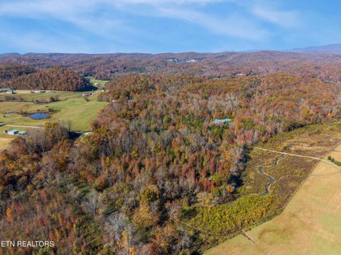 Tiny photo for 303 Charles Butler Rd, Oliver Springs, TN 37840 (MLS # 1321040)
