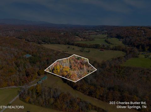 Tiny photo for 303 Charles Butler Rd, Oliver Springs, TN 37840 (MLS # 1321040)