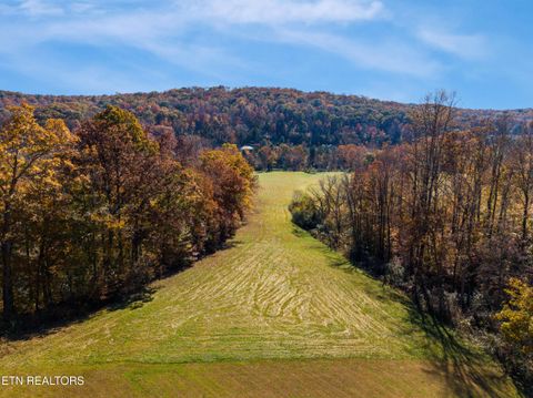 Tiny photo for 303 Charles Butler Rd, Oliver Springs, TN 37840 (MLS # 1321040)