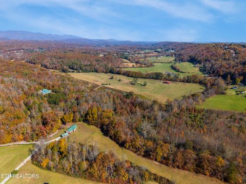 Tiny photo for 303 Charles Butler Rd, Oliver Springs, TN 37840 (MLS # 1321040)