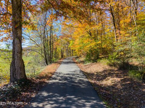 Tiny photo for 303 Charles Butler Rd, Oliver Springs, TN 37840 (MLS # 1321040)