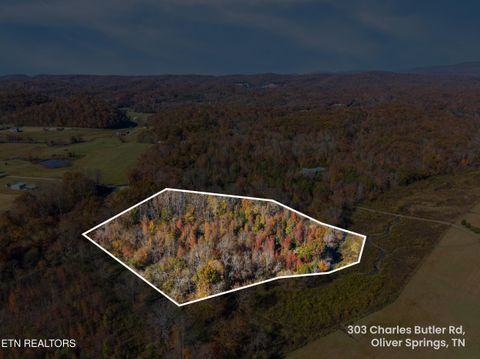 Tiny photo for 303 Charles Butler Rd, Oliver Springs, TN 37840 (MLS # 1321040)