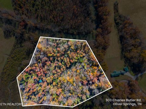 Tiny photo for 303 Charles Butler Rd, Oliver Springs, TN 37840 (MLS # 1321040)