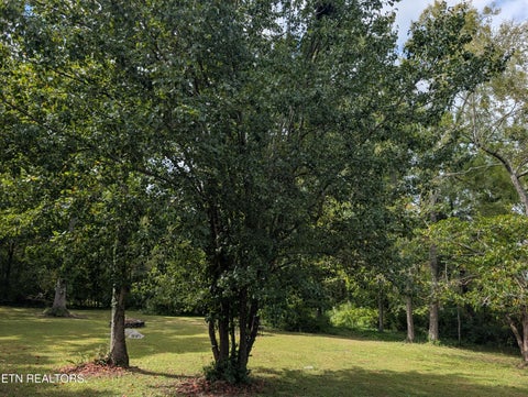 Tiny photo for 341 Vermont Ave, Oak Ridge, TN 37830 (MLS # 1357312)