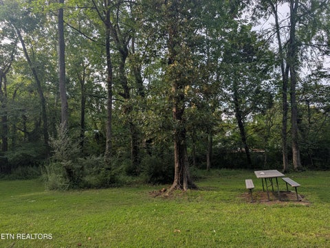 Tiny photo for 341 Vermont Ave, Oak Ridge, TN 37830 (MLS # 1357312)