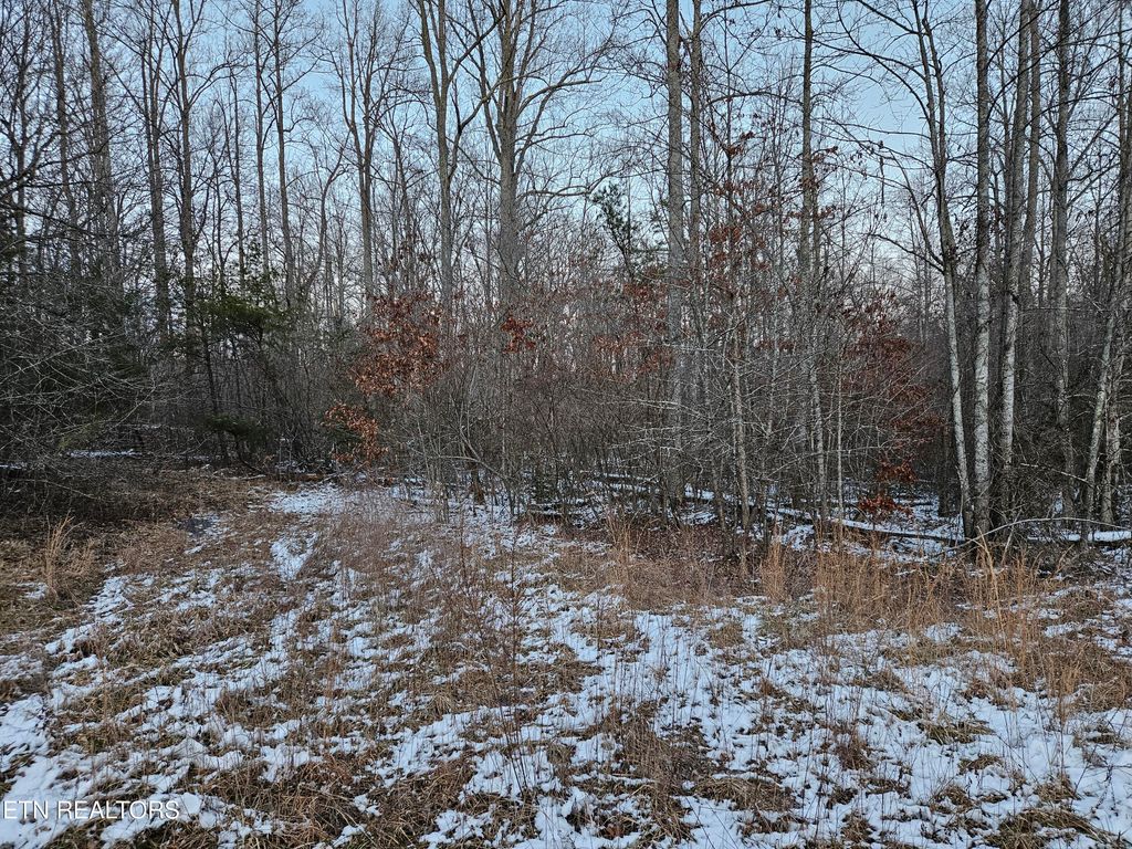 Photo of 1234 Rodgers Rd, Crossville, TN 38572 (MLS # 1327769)