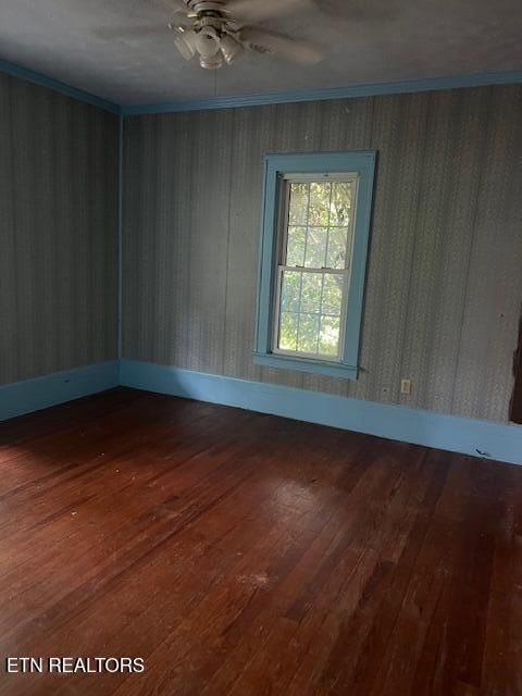 Tiny photo for 1608 Tennessee 116, Caryville, TN 37714 (MLS # 1338069)