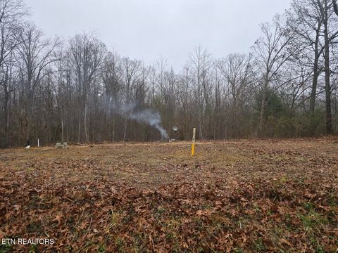 Tiny photo for 1496 Rome Rd, Lancing, TN 37770 (MLS # 1325594)