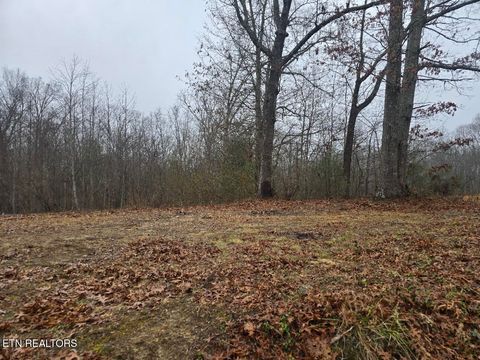 Tiny photo for 1496 Rome Rd, Lancing, TN 37770 (MLS # 1325594)