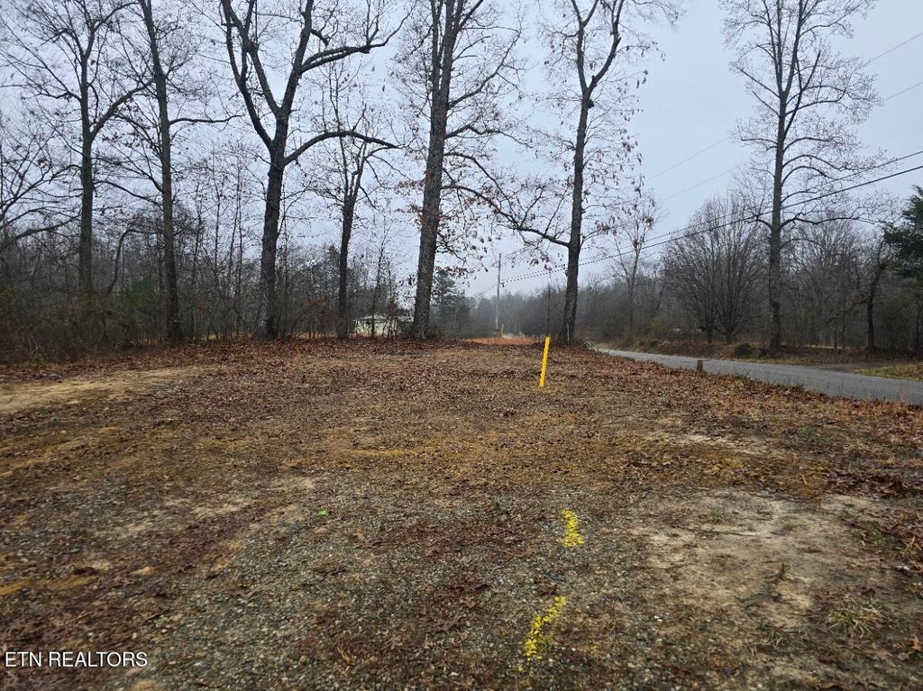 Photo of 1496 Rome Rd, Lancing, TN 37770 (MLS # 1325594)
