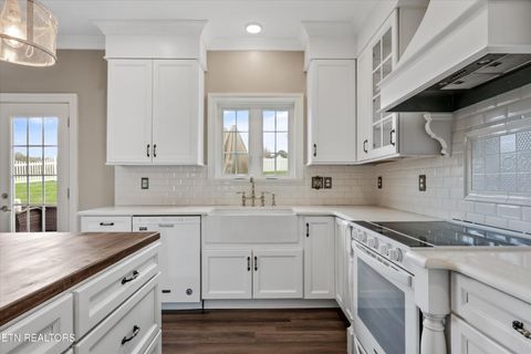 Tiny photo for 125 Marble View Dr, Kingston, TN 37763 (MLS # 1332758)