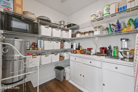 Tiny photo for 125 Marble View Dr, Kingston, TN 37763 (MLS # 1332758)