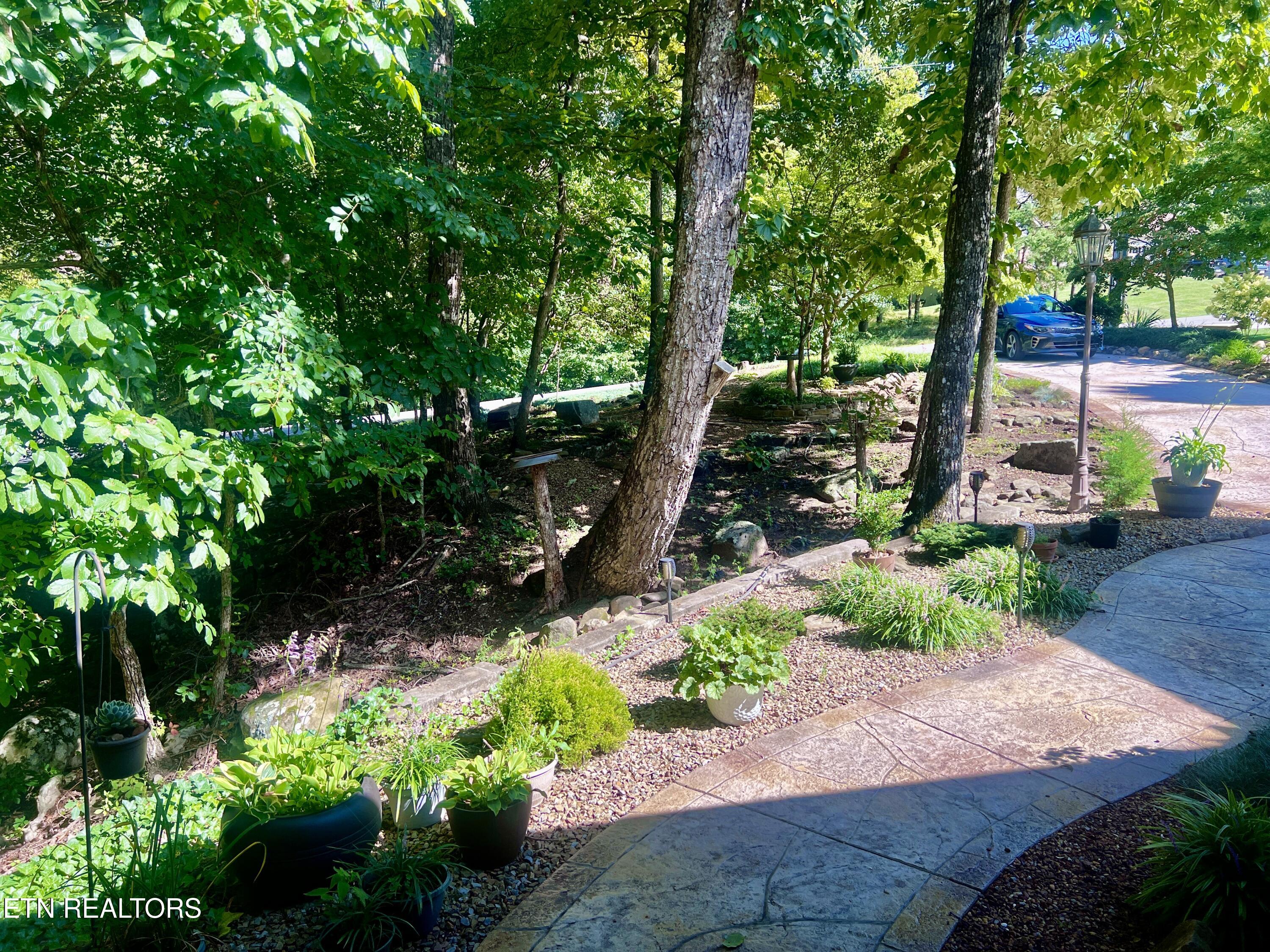 150 Mountain View Drive