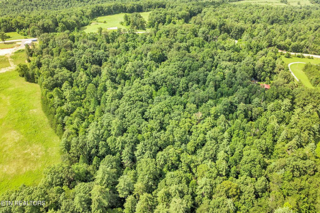 Photo of Nashville Hwy, Deer Lodge, TN 37726 (MLS # 1310613)