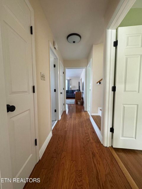 Tiny photo for 3720 Washington Pike, Knoxville, TN 37917 (MLS # 1324779)