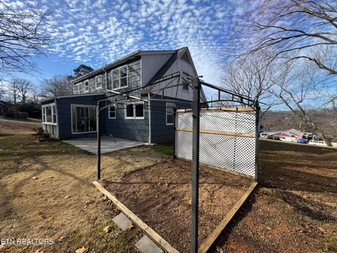 Tiny photo for 3720 Washington Pike, Knoxville, TN 37917 (MLS # 1324779)