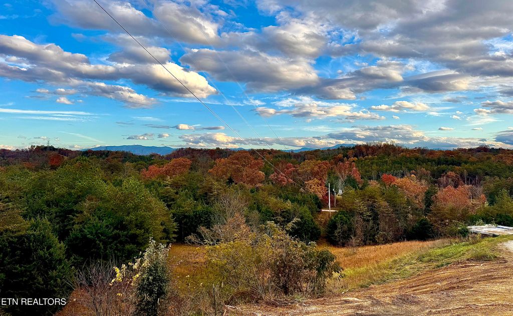 Photo of 841 Guffy Hollow Rd, Sevierville, TN 37876 (MLS # 1319347)