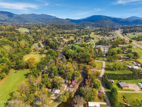 Tiny photo for 7836 Carnes Rd, Townsend, TN 37882 (MLS # 1359775)