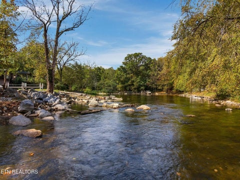 Tiny photo for 7836 Carnes Rd, Townsend, TN 37882 (MLS # 1359775)