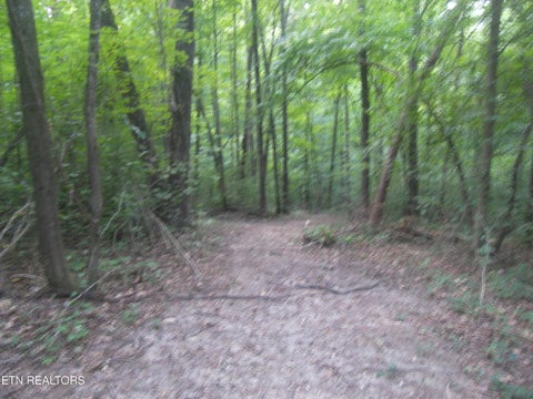 Tiny photo for Wells Rd, Powell, TN 37849 (MLS # 1353713)