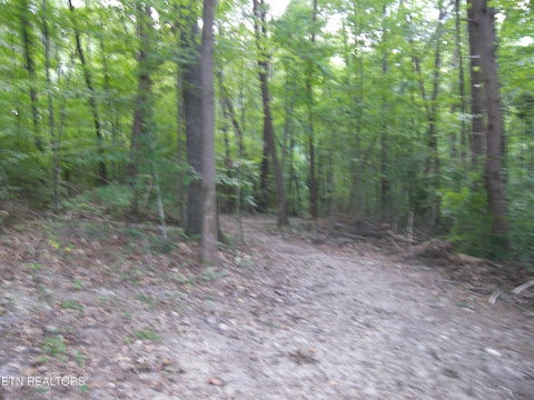 Tiny photo for Wells Rd, Powell, TN 37849 (MLS # 1353713)