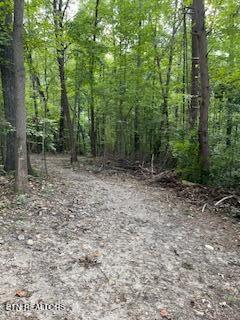 Tiny photo for Wells Rd, Powell, TN 37849 (MLS # 1353713)