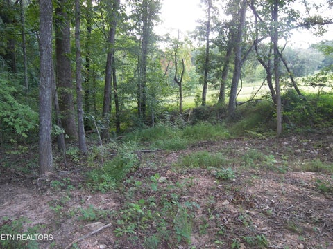 Tiny photo for Wells Rd, Powell, TN 37849 (MLS # 1353713)