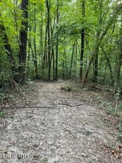 Tiny photo for Wells Rd, Powell, TN 37849 (MLS # 1353713)