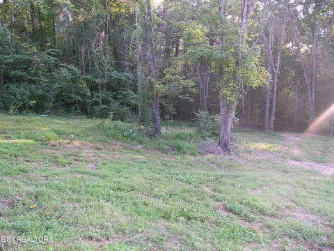 Tiny photo for Wells Rd, Powell, TN 37849 (MLS # 1353713)