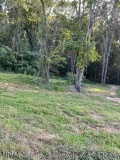 Tiny photo for Wells Rd, Powell, TN 37849 (MLS # 1353713)