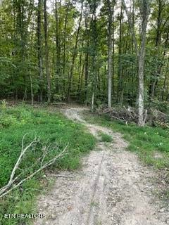 Tiny photo for Wells Rd, Powell, TN 37849 (MLS # 1353713)