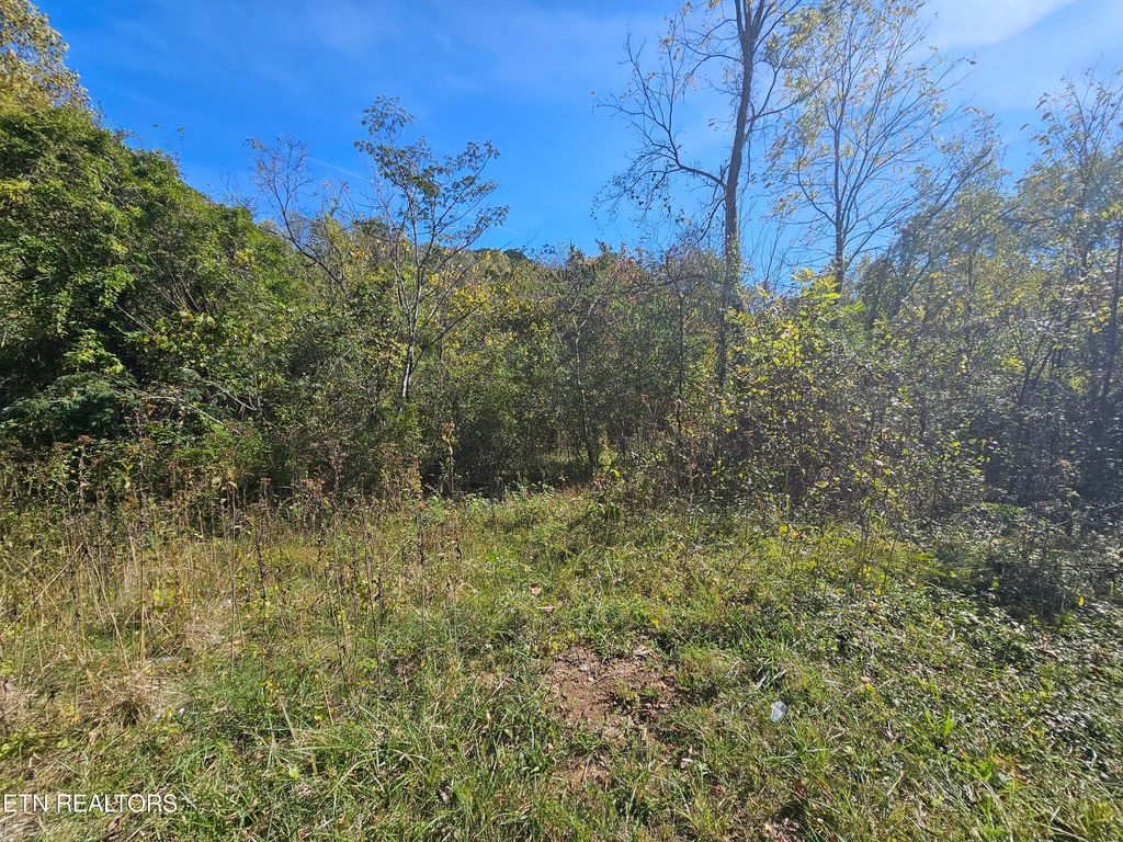 Photo of 292 Longfield Rd, Rocky Top, TN 37769 (MLS # 1269530)