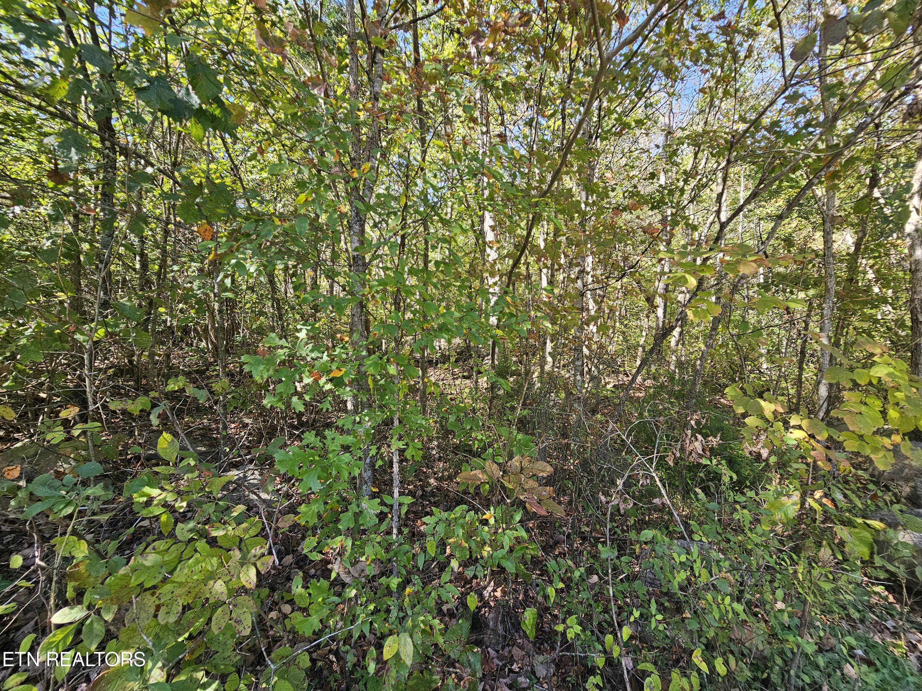 292 Longfield Rd