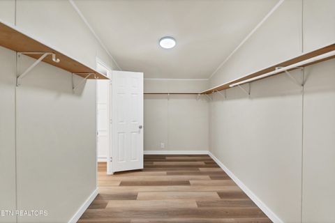 Tiny photo for 2380 River Rd, Kingston, TN 37763 (MLS # 1328156)