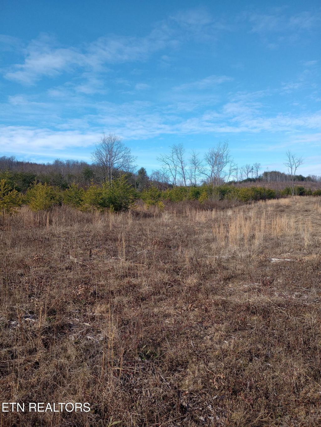 Photo of Allen Burgess Rd, Crossville, TN 38572 (MLS # 1325585)