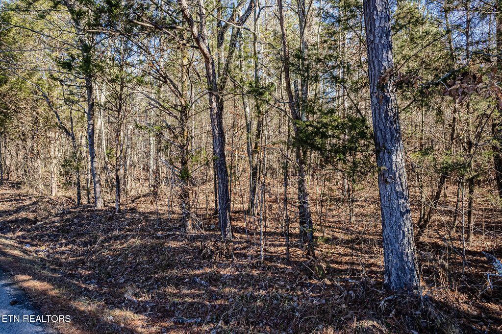 Photo of 5 S Nopone Valley Rd, Decatur, TN 37322 (MLS # 1287312)